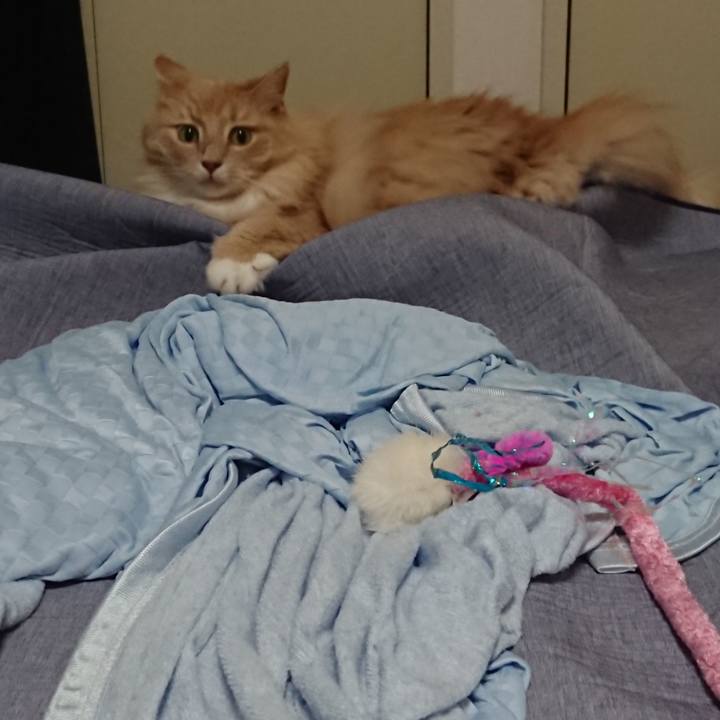 9d0d70e9 0a5e 445f 90ff aa5a8df99b79 1567556092456