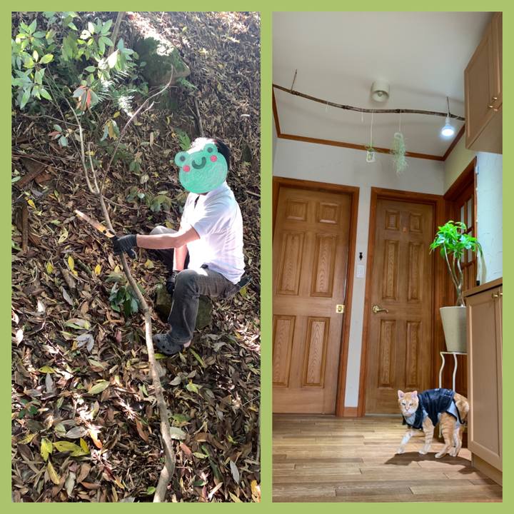 9d0d747c 7ec0 4003 9178 ea5e214ee9f7 1652601773448