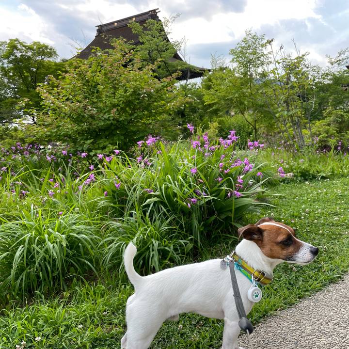 9d0d8007 a14c 4cfc 9c65 9403d66d5302 1654163656044