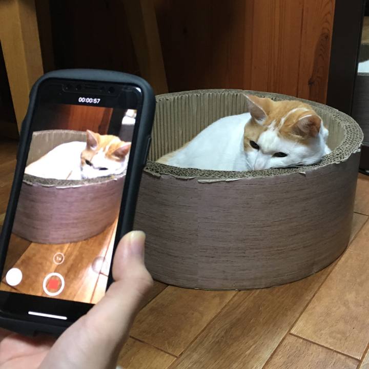 9d0d8306 7f26 46b4 a1bd 2d52daa8e0eb 1544182492960