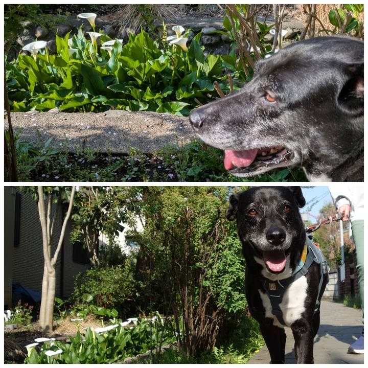 9d0dbedd 5463 43fe a1b7 4db7639164c9 1744417672899