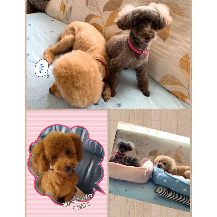 9d0dc84e 87d2 424d a39f a95447385f17 1598515474602