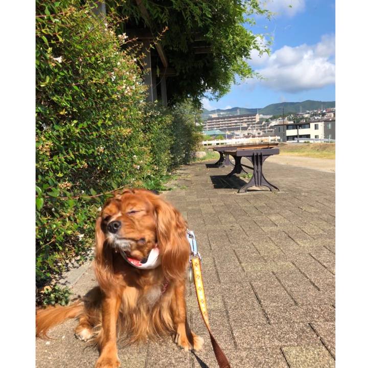 9d0de689 a67b 4b0d 862b 20f79d320464 1599266150563