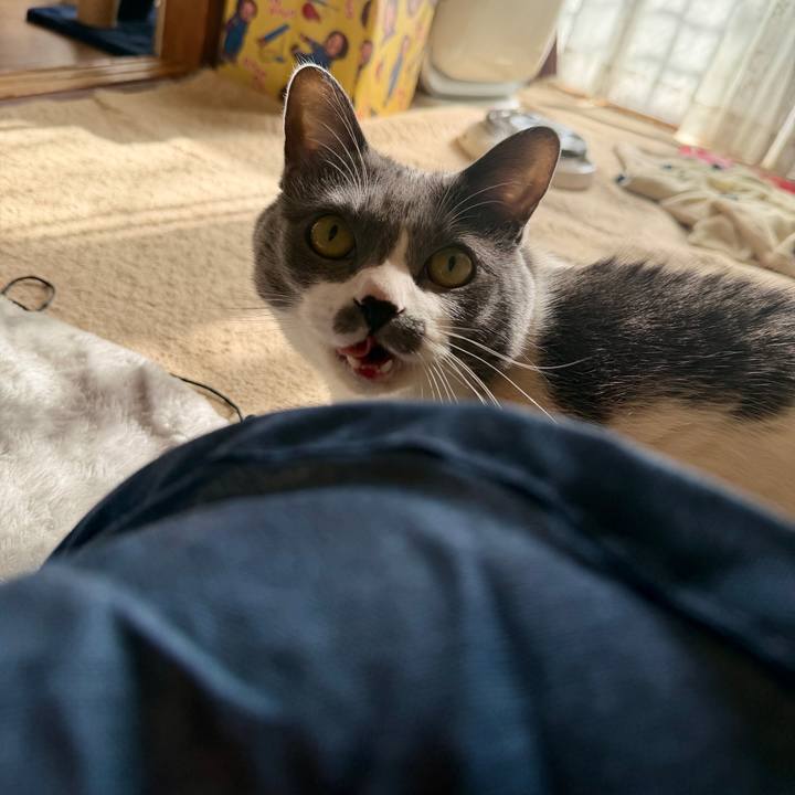 9d0de71a 9f32 4fed 86f7 320b67479d55 1768620518458