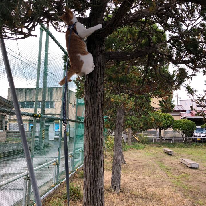 9d0e0efc d389 453c 8ba3 56211f88be65 1540962488094