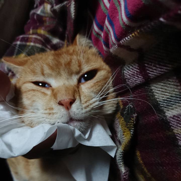 9d0e2dc7 b165 44fb 8a62 957b8c3c164e 1585431226911