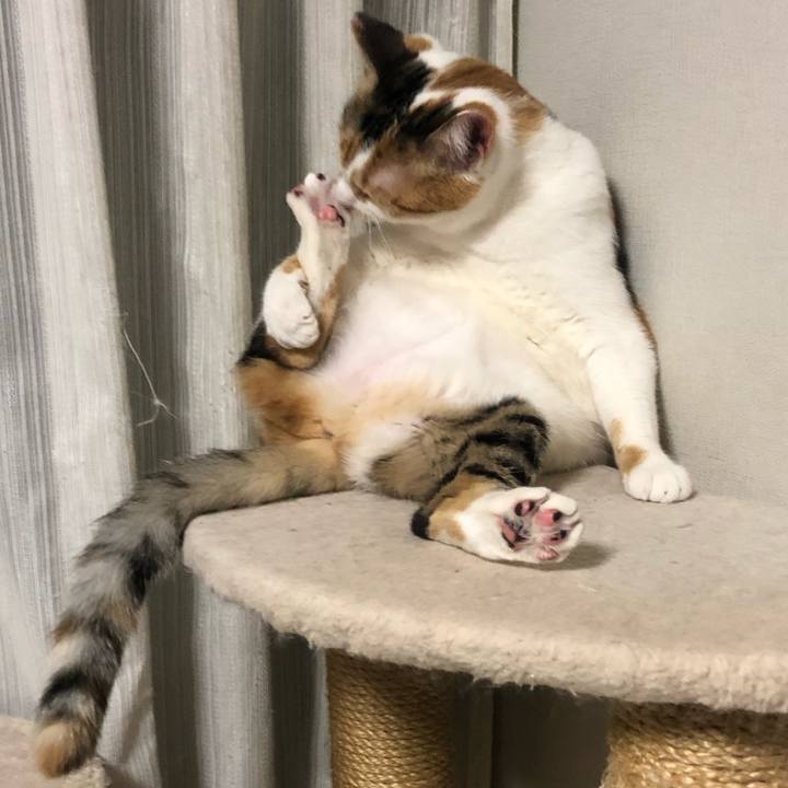 9d0e52cc cf2e 45c2 af91 e42d83874d5f 1585833549051