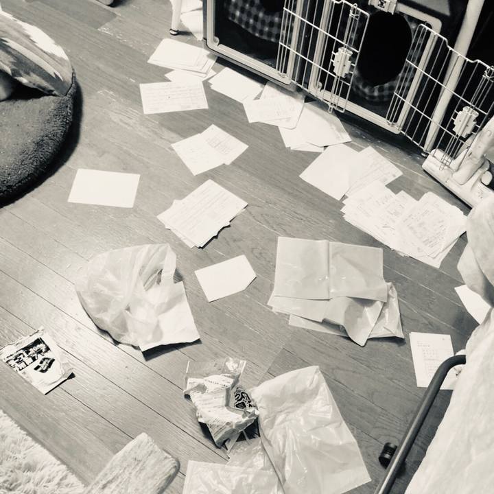 9d0e55d6 5e16 437e aebe 4edb56a630e9 1548488470717