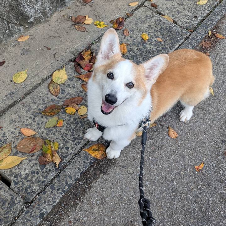 9d0e733a 0800 46d3 b3cf f3199d62a7b1 1761016461003