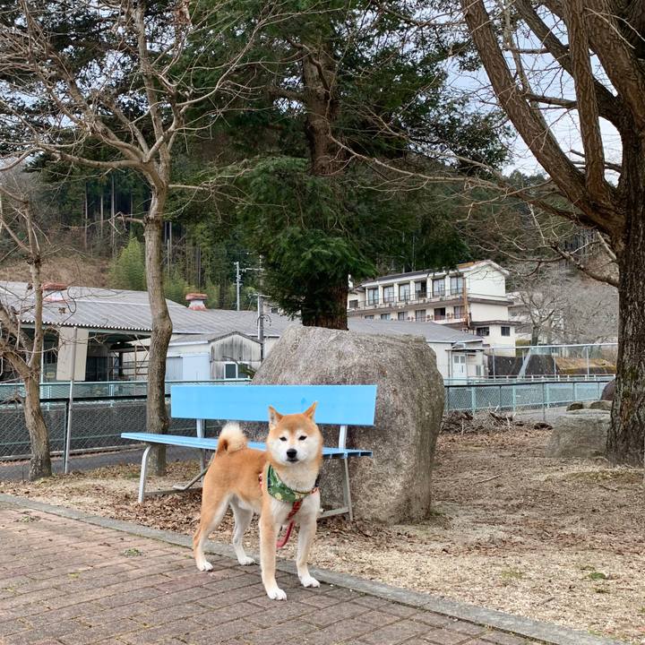 9d0e93eb cdda 4af0 b102 59e8bd036b54 1583755225568