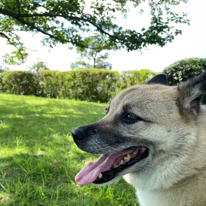 9d0ea431 e159 42e9 a5fc ebb5993aceaa 1721474959329