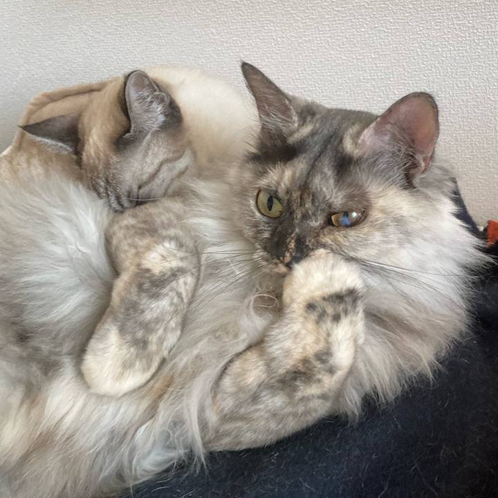 9d0ebca7 7ef7 4afb 9b5c a8b47168f81c 1766467596729