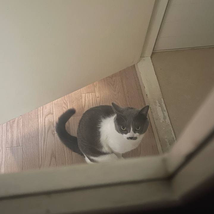 9d0ed364 e702 4675 a4db 565144df1ba1 1700288592854