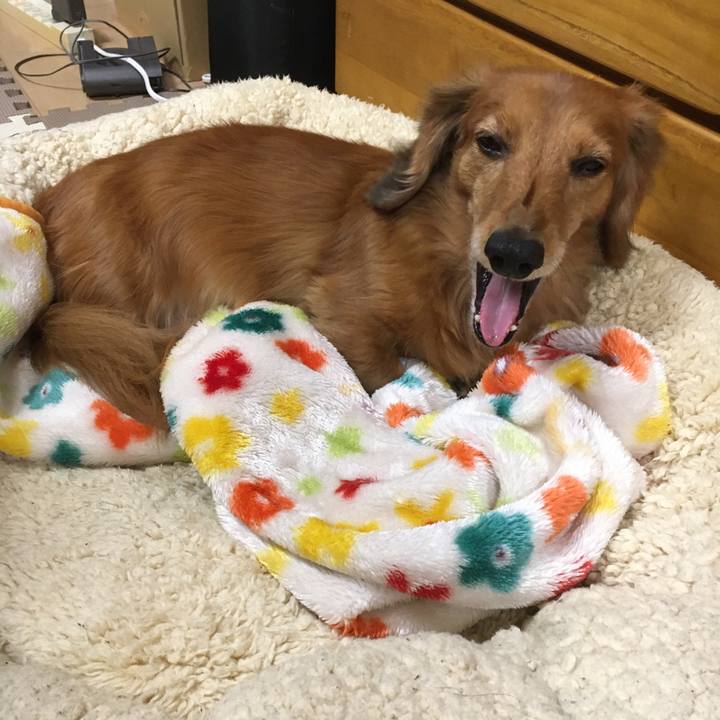 9d0f1033 baad 40d8 86ac 9b1cdc752d2f 1575204377025