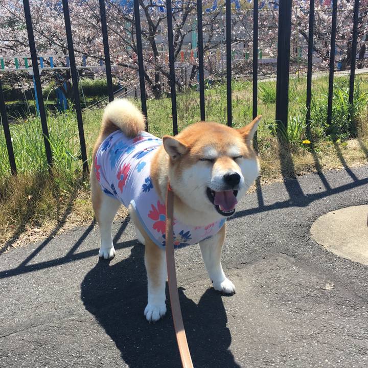 9d0f9f96 637c 4856 b3e8 363469a4e34e 1554176679786