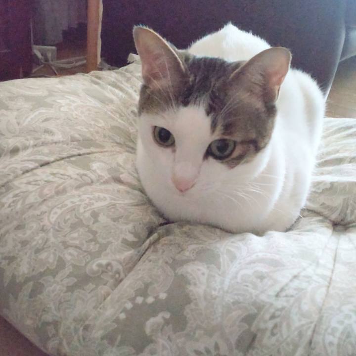 9d0fb95c cb4f 4162 8a71 a092f3c79b6c 1742714336685