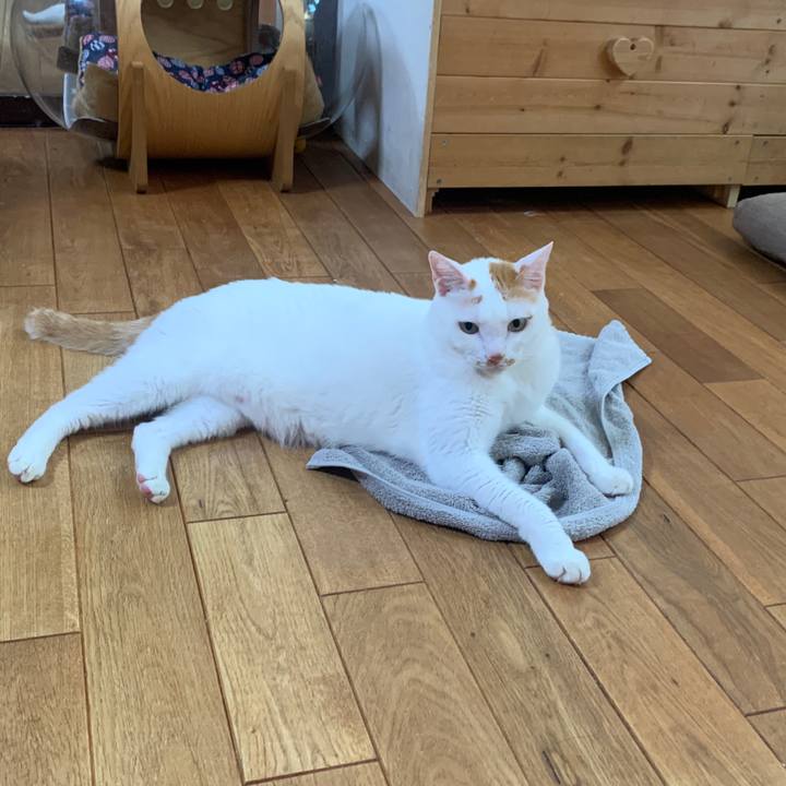 9d0fbfa6 a3e5 415d b9d3 70d6a88e4e72 1662847075769