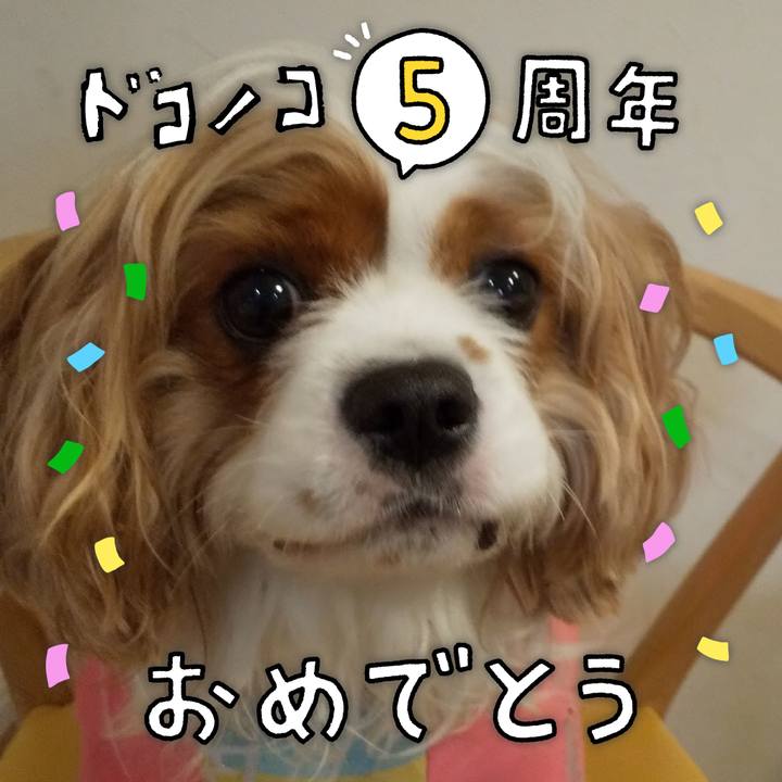 9d0fe486 e02c 48f3 bfff b30d57f81fad 1622898828198