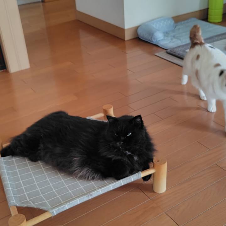 9d1004b7 16e1 49f2 ae90 a96d6f66899c 1722727335355