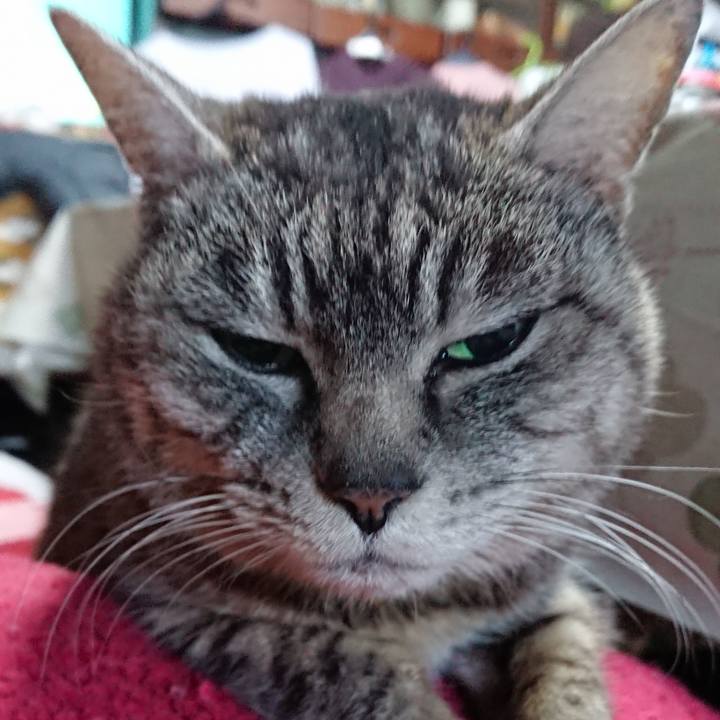 9d103be8 78fb 4cab a8f8 7171f16a9839 1550959307639