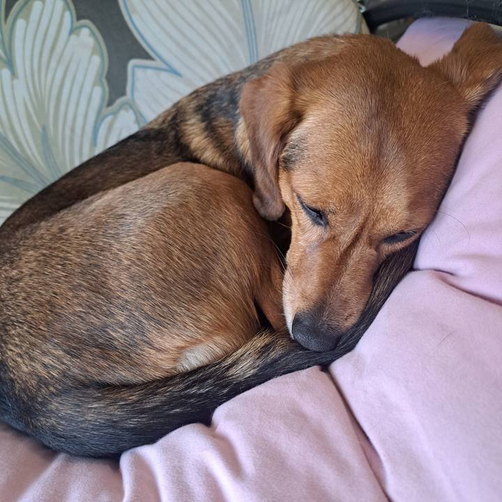 9d104ebc c3eb 4402 a8ba 6b5389ca208b 1766367396906