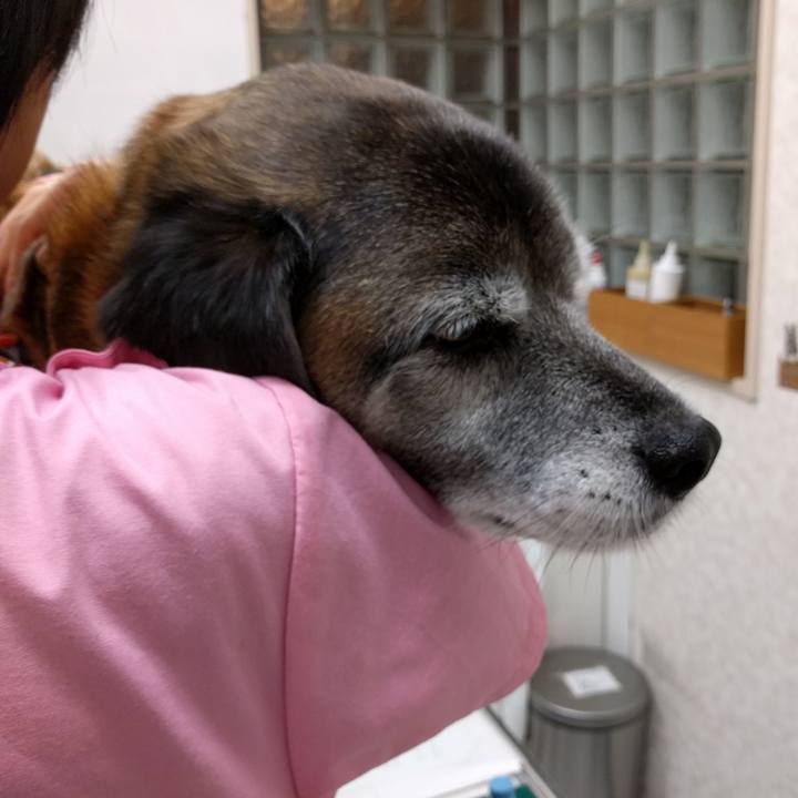 9d106413 4647 4d1b af5d a29d9ae37bd9 1555759557379