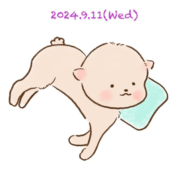 9d109e81 0150 4ddf b454 def5991d3e2d 1726053261320