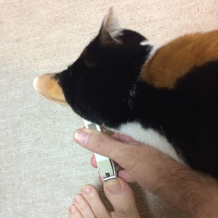 9d10aa79 3966 47ae b462 dee3c7375a2a 1576532907254