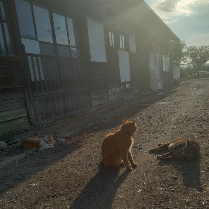 9d10f19d 781d 49da a897 a3dd0089e940 1752962292463