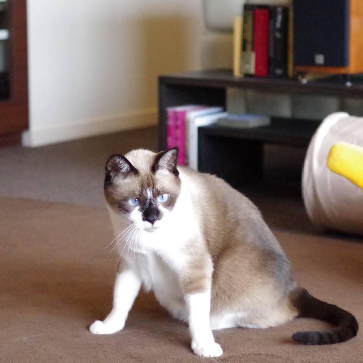 9d11807e f049 4d29 bd49 3c6602ca15c5 1540960755138