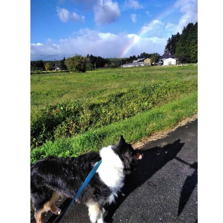 9d118170 8437 455c 9b03 1ebc3e118b6f 1540726280569