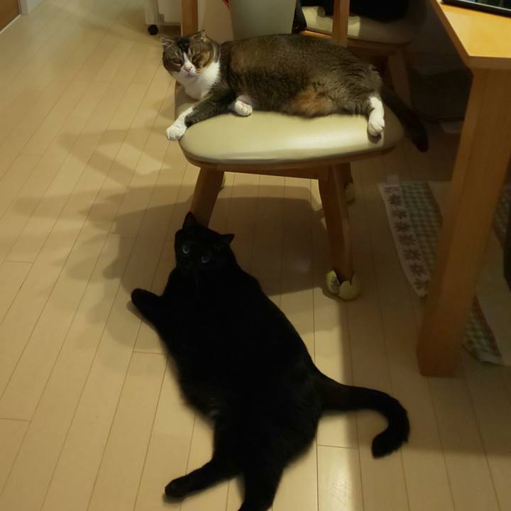 9d1192d2 978c 4e9a 9fda f851cf2c5293 1759634956342