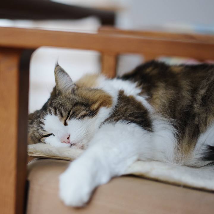 9d11a8c7 26e4 4a55 b34a 4b7b3636f895 1712580293540