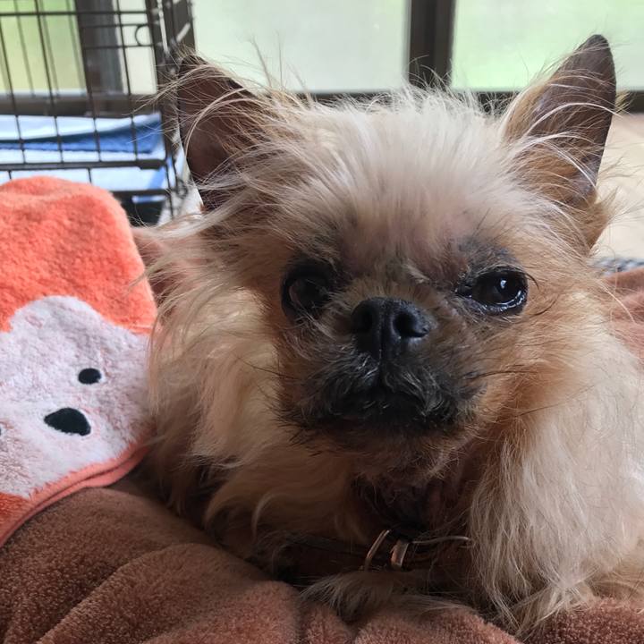 9d11abdb 0a87 4461 b05b f03795bc06fc 1524534411084