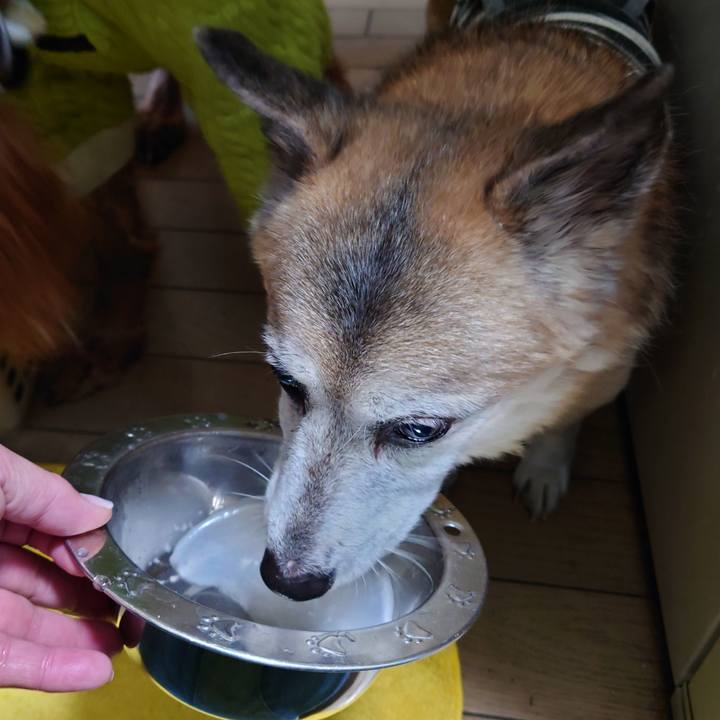 9d11eab2 05ba 4b81 a784 b06e91dfc219 1704783585303