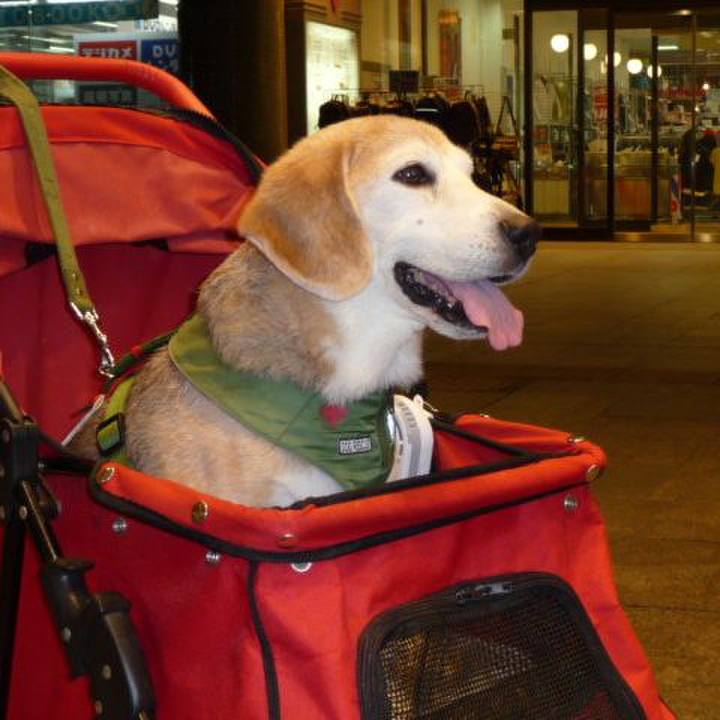 9d11f0a5 adda 4c6c acfb aca7afccaf55 1694306079046