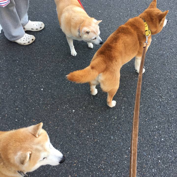 9d11f28f e267 4361 a35c ea1460cb5c49 1522365671500