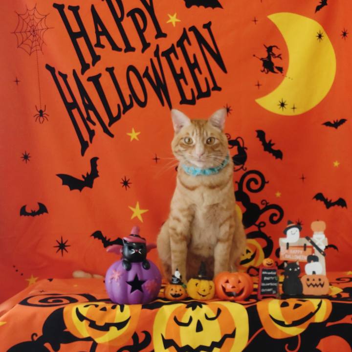 9d122e5a 0f9c 4862 84f6 49b9c5c5e11a 1761028815445