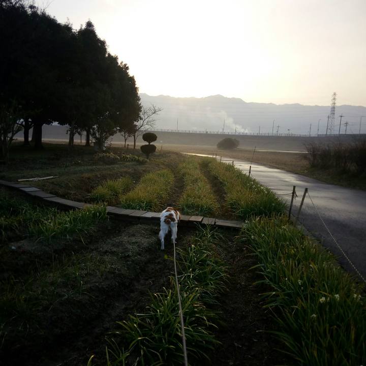 9d126b15 a2b2 49f4 ab43 0710ccaa6c60 1519646869882