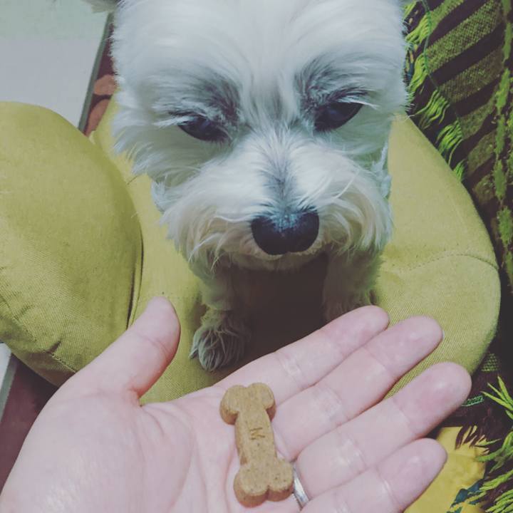 9d127b0c 88c2 44c0 b794 2c75f6b41b36 1637061141413