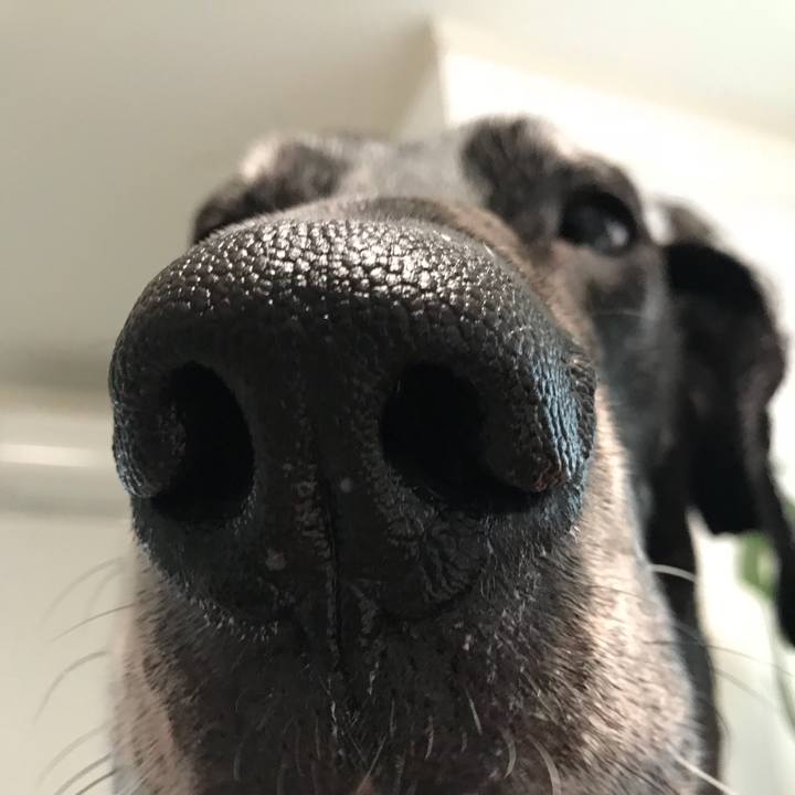 9d1283d5 81a6 4064 b121 bc0a36fd7336 1523746133987