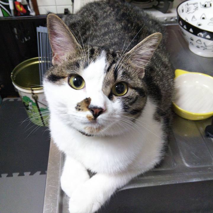 9d12889a 8260 401c b51b 168746d67884 1623674975351