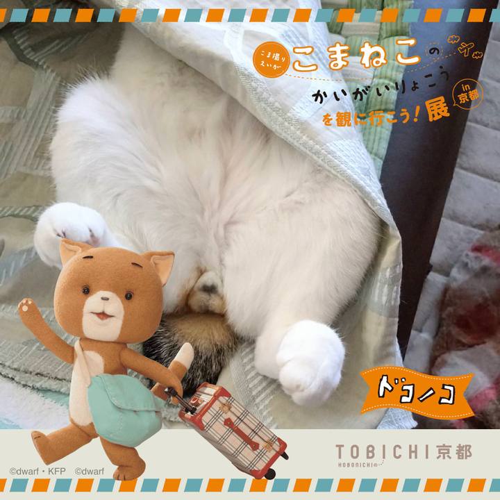 9d12a781 8fd1 47bb 8ad7 d621d2a4c1f1 1740138481421