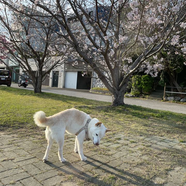 9d12b300 526c 4e81 b94b 256b221d8372 1648567416312