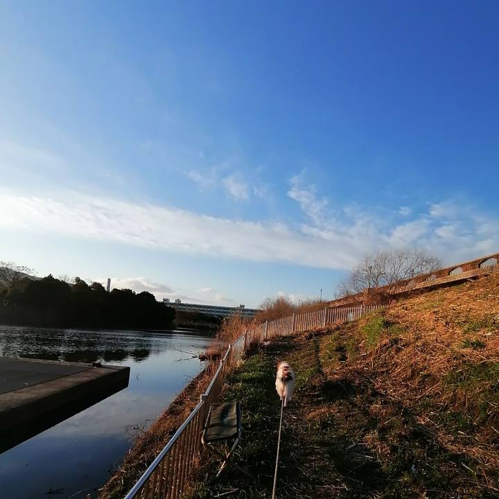 9d12dff6 6dc5 4ba4 8bf5 1170187cc7b4 1613434728370