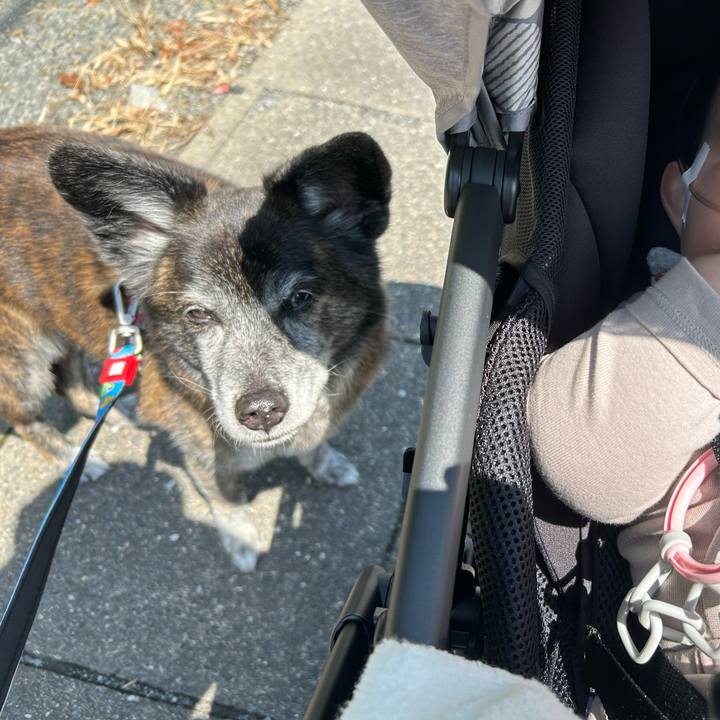 9d130639 6bf5 48f4 ba8c 258d25869391 1714469843154