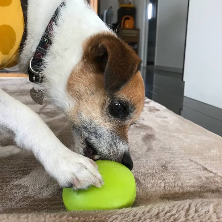 9d1311cd d6f8 4b0f b16a 1d4dd5168832 1524359921330