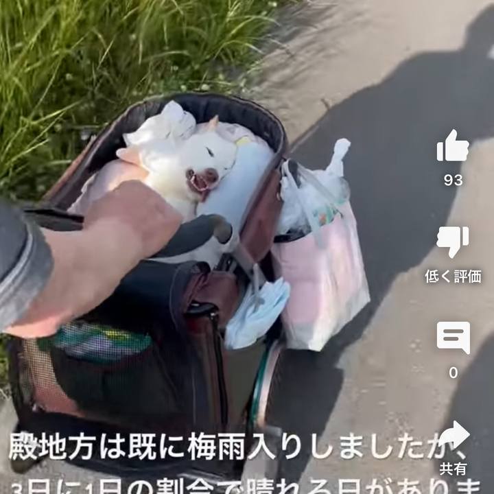 9d13393e 76b9 4c66 a185 ad34c9bae044 1686146123736