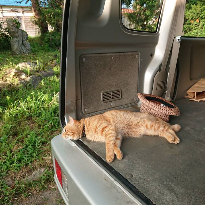 9d13595a 7b4b 497f a8b0 570b944c8ea5 1657141347148