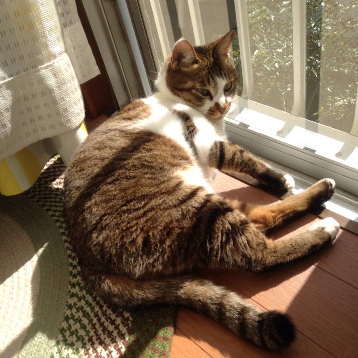 9d137848 6566 4238 b914 52627f6ddfc2 1520644736390